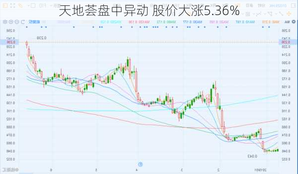 天地荟盘中异动 股价大涨5.36%