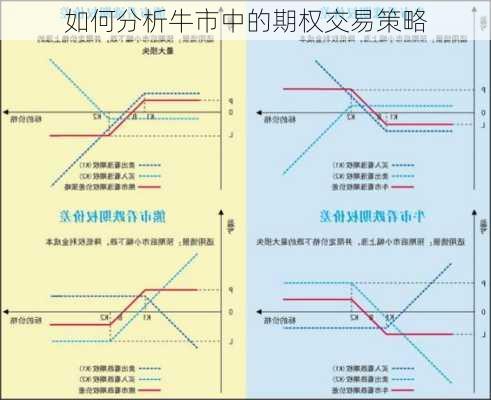 如何分析牛市中的期权交易策略