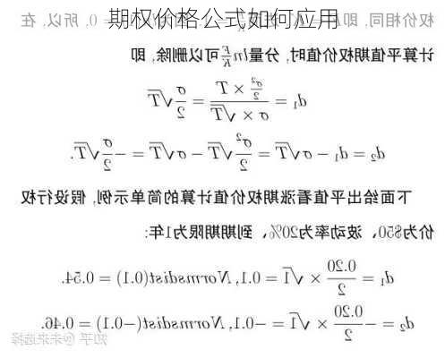 期权价格公式如何应用