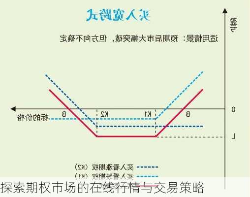 探索期权市场的在线行情与交易策略