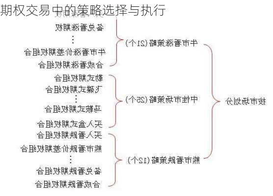 期权交易中的策略选择与执行