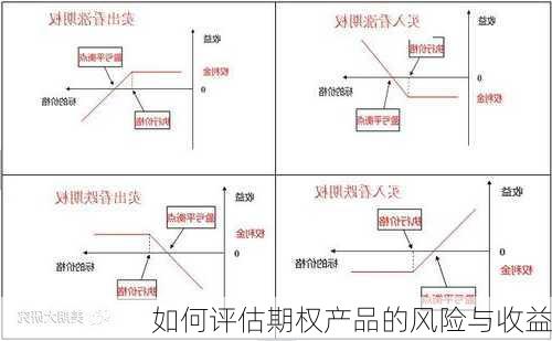 如何评估期权产品的风险与收益