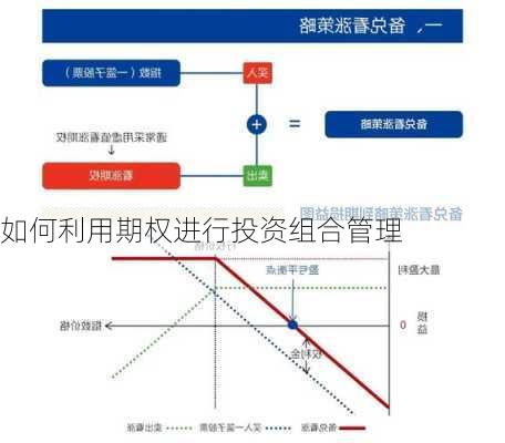 如何利用期权进行投资组合管理