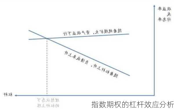 指数期权的杠杆效应分析