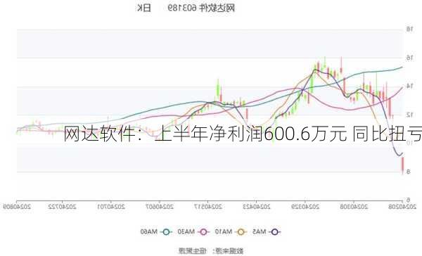 网达软件：上半年净利润600.6万元 同比扭亏