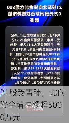 21股受青睐，北向资金增持额超5000万元