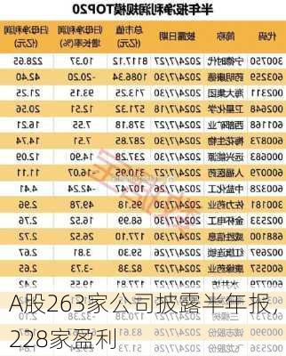 A股263家公司披露半年报，228家盈利