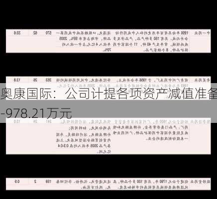 奥康国际：公司计提各项资产减值准备合计-978.21万元