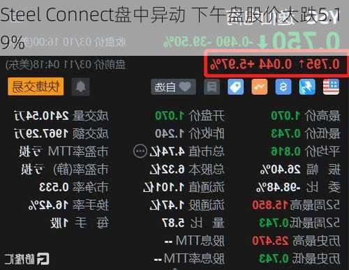 Steel Connect盘中异动 下午盘股价大跌5.19%