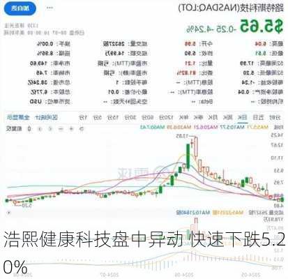 浩熙健康科技盘中异动 快速下跌5.20%