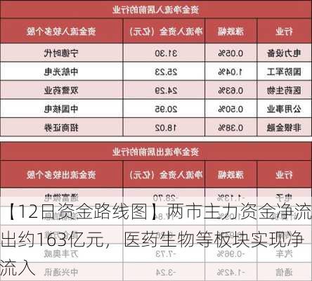 【12日资金路线图】两市主力资金净流出约163亿元，医药生物等板块实现净流入