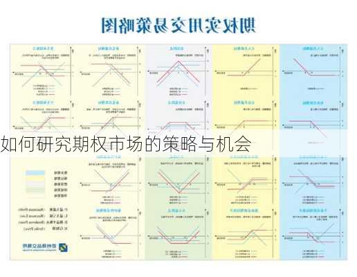 如何研究期权市场的策略与机会