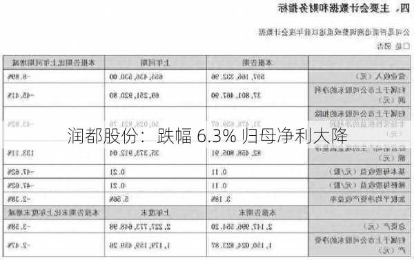 润都股份：跌幅 6.3% 归母净利大降