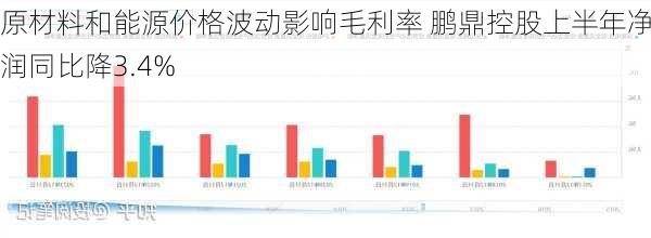 原材料和能源价格波动影响毛利率 鹏鼎控股上半年净利润同比降3.4%