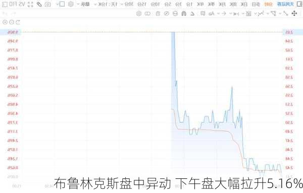 布鲁林克斯盘中异动 下午盘大幅拉升5.16%