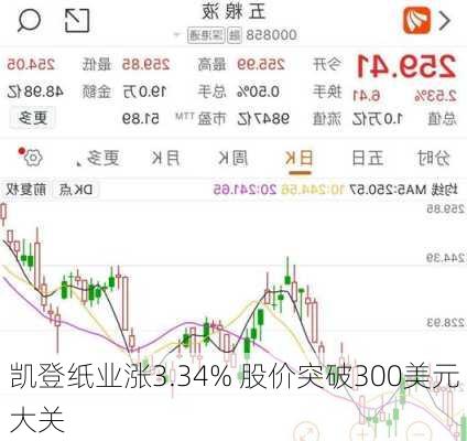 凯登纸业涨3.34% 股价突破300美元大关