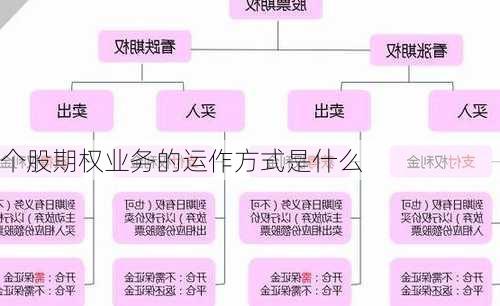 个股期权业务的运作方式是什么