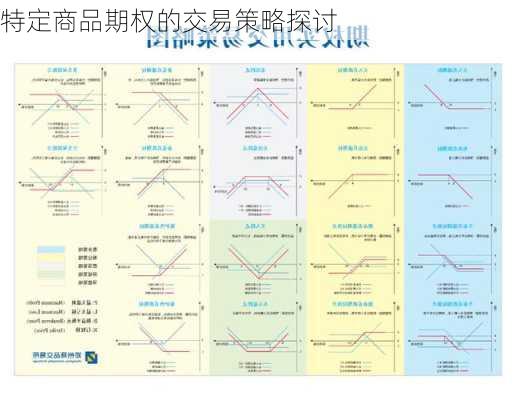 特定商品期权的交易策略探讨