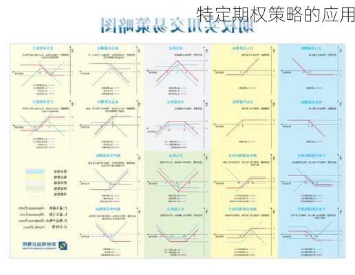 特定期权策略的应用