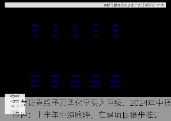 东莞证券给予万华化学买入评级，2024年中报点评：上半年业绩略降，在建项目稳步推进