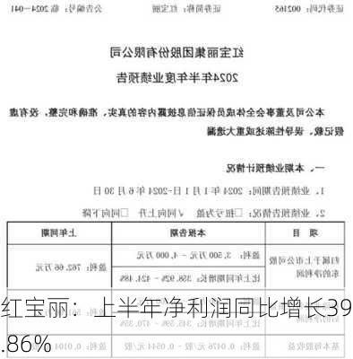 红宝丽：上半年净利润同比增长395.86%