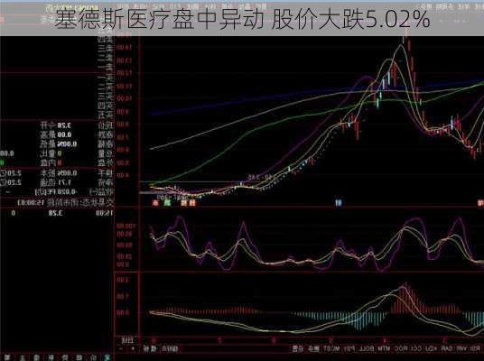 塞德斯医疗盘中异动 股价大跌5.02%