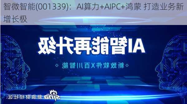 智微智能(001339)：AI算力+AIPC+鸿蒙 打造业务新增长极