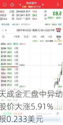 天成金汇盘中异动 股价大涨5.91%报0.233美元