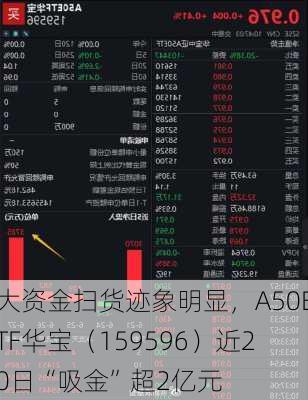 大资金扫货迹象明显，A50ETF华宝（159596）近20日“吸金”超2亿元