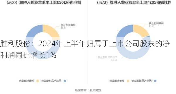 胜利股份：2024年上半年归属于上市公司股东的净利润同比增长1%