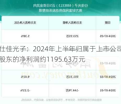 仕佳光子：2024年上半年归属于上市公司股东的净利润约1195.63万元