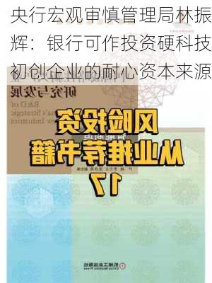 央行宏观审慎管理局林振辉：银行可作投资硬科技初创企业的耐心资本来源