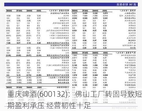 重庆啤酒(600132)：佛山工厂转固导致短期盈利承压 经营韧性十足