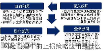 风险管理中的止损策略应用是什么