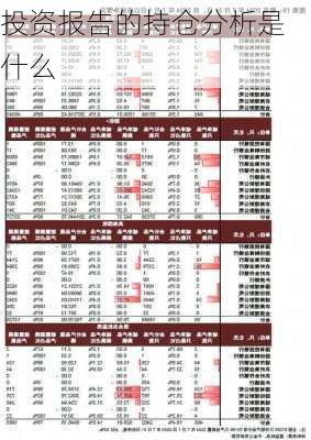 投资报告的持仓分析是什么