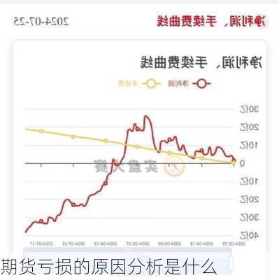 期货亏损的原因分析是什么