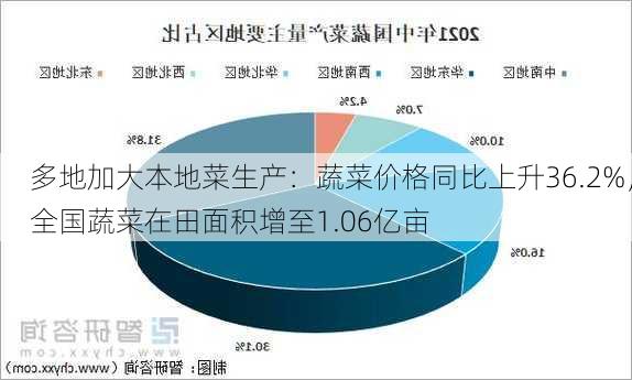 多地加大本地菜生产：蔬菜价格同比上升36.2%，全国蔬菜在田面积增至1.06亿亩