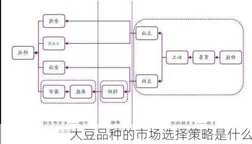 大豆品种的市场选择策略是什么