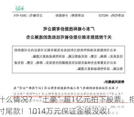 什么情况？“土豪”超1亿元拍下股票，拒付尾款！1014万元保证金被没收！