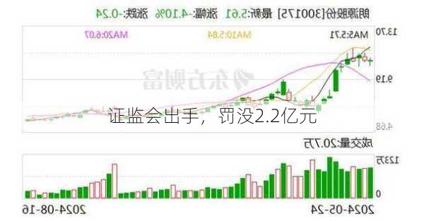 证监会出手，罚没2.2亿元