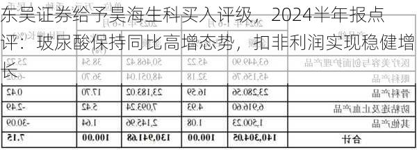 东吴证券给予昊海生科买入评级，2024半年报点评：玻尿酸保持同比高增态势，扣非利润实现稳健增长