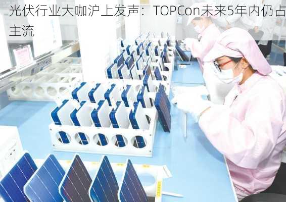 光伏行业大咖沪上发声：TOPCon未来5年内仍占主流