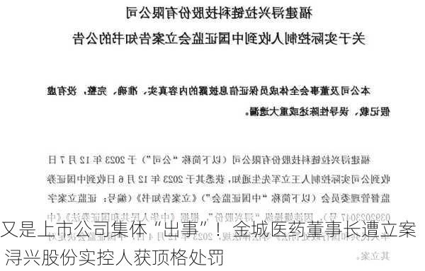 又是上市公司集体“出事”！金城医药董事长遭立案 浔兴股份实控人获顶格处罚