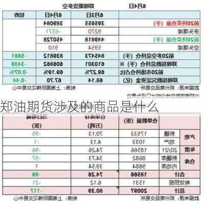 郑油期货涉及的商品是什么