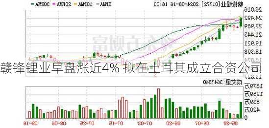 赣锋锂业早盘涨近4% 拟在土耳其成立合资公司