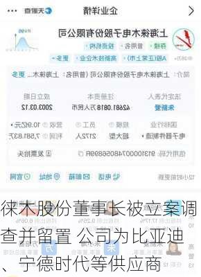 徕木股份董事长被立案调查并留置 公司为比亚迪、宁德时代等供应商