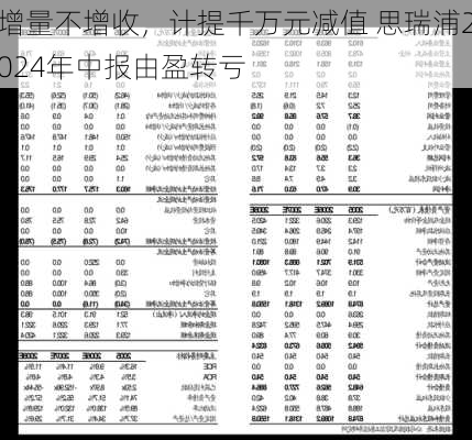 增量不增收，计提千万元减值 思瑞浦2024年中报由盈转亏