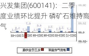 兴发集团(600141)：二季度业绩环比提升 磷矿石维持高景气