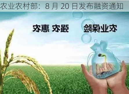 农业农村部：8 月 20 日发布融资通知