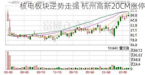 核电板块逆势走强 杭州高新20CM涨停